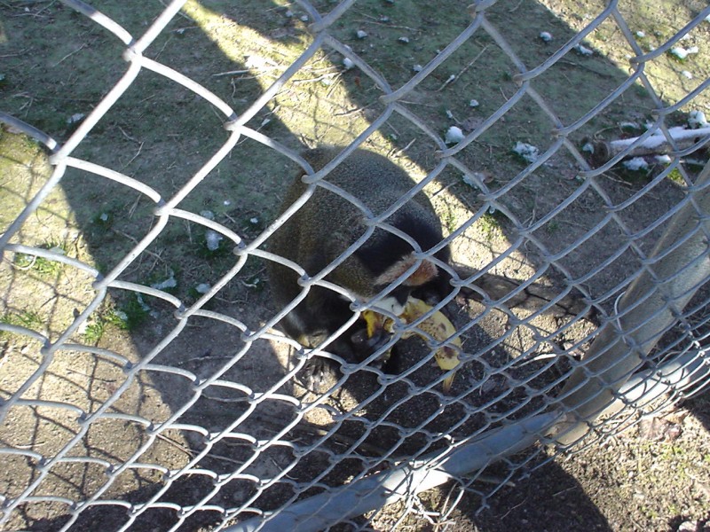 DSC00096