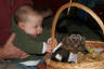 Click for larger image.