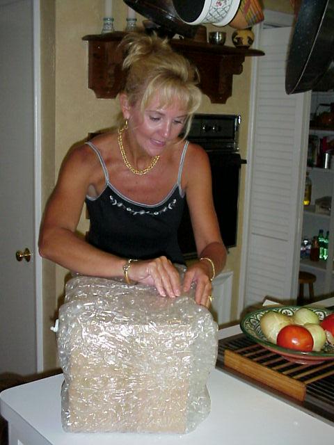 Judy Package.JPG (46906 bytes)