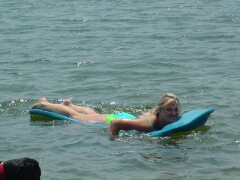 main.jpg (16555 bytes)