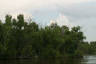Click for larger image.