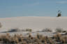 Click for larger image.