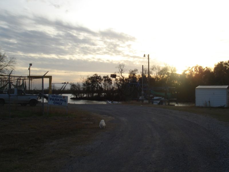 DSC01808.JPG