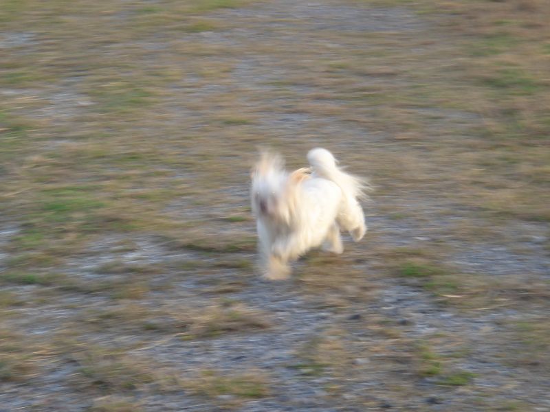 DSC01816.JPG