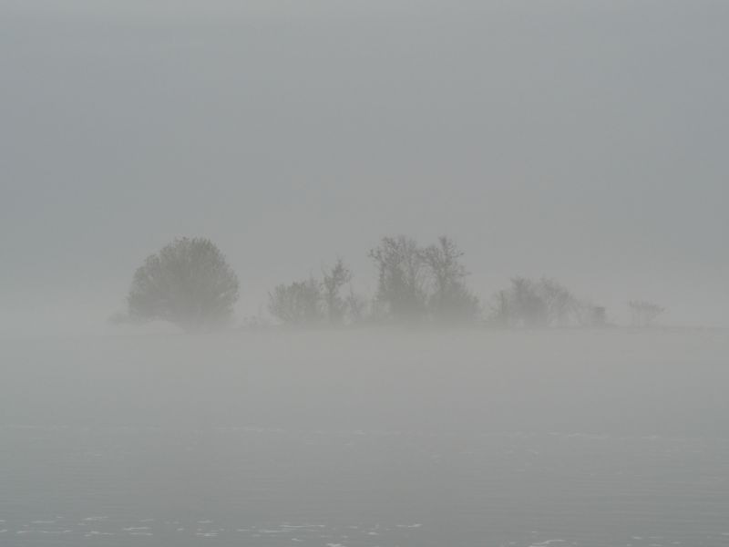 DSC01887.JPG
