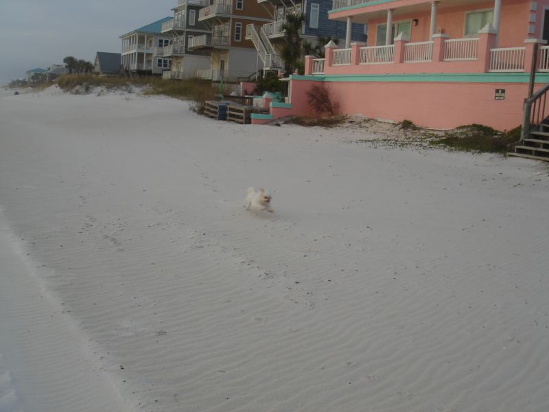 DSC01890 - Panama City Beach.JPG