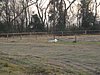 DSC01814.JPG