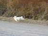 DSC01817.JPG