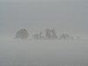 DSC01887.JPG