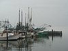 DSC01889.JPG