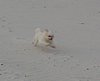 DSC01890a.jpg