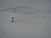 DSC01895.JPG