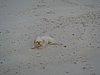 DSC01896.JPG