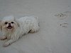 DSC01901.JPG