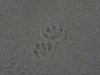 DSC01905.JPG